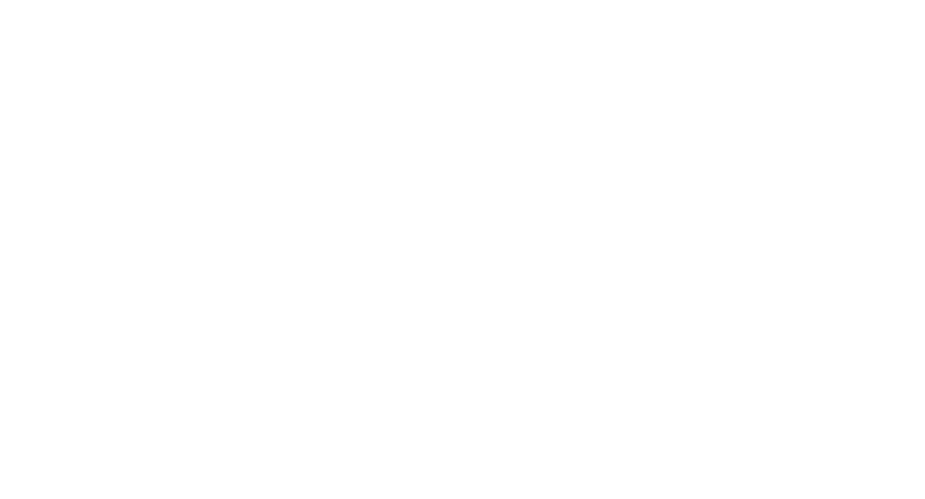 Americana Partners